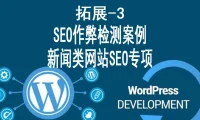 SEO作弊检测案例 和 新闻类网站SEO专项