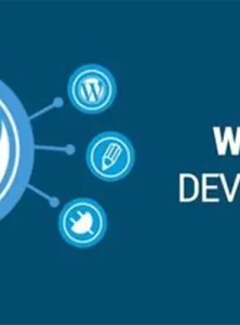 想做网站？看这里就够了