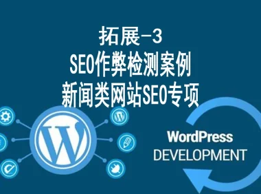 SEO作弊检测案例 和 新闻类网站SEO专项