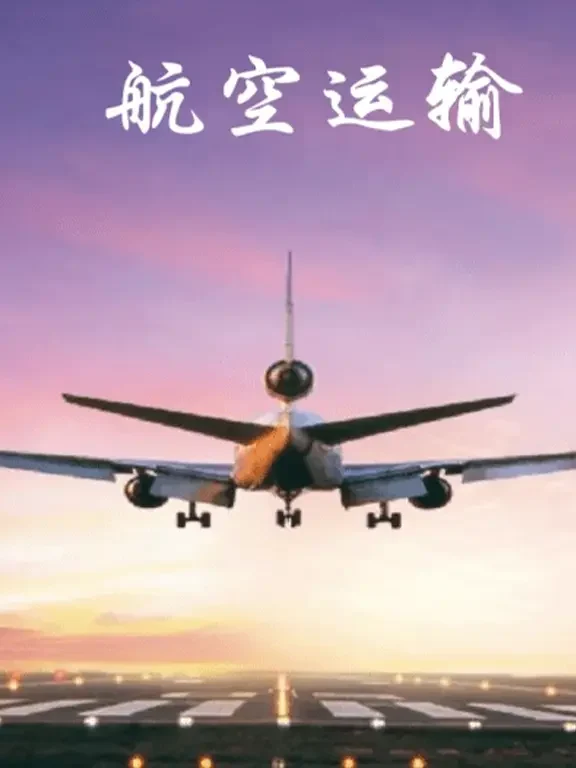 航空运输鉴定报告深度解析：类目细化、案例说明与鉴定标准