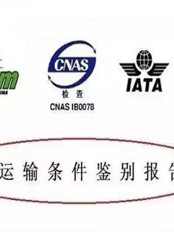 中国空运出口鉴定报告教程