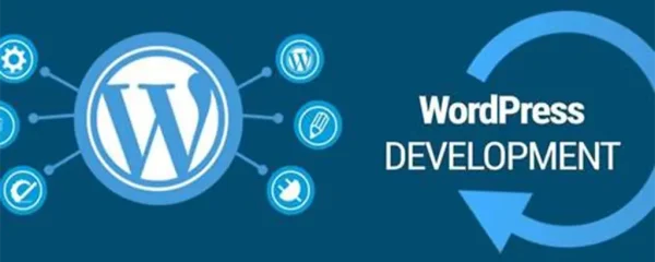 想做网站？看这里就够了