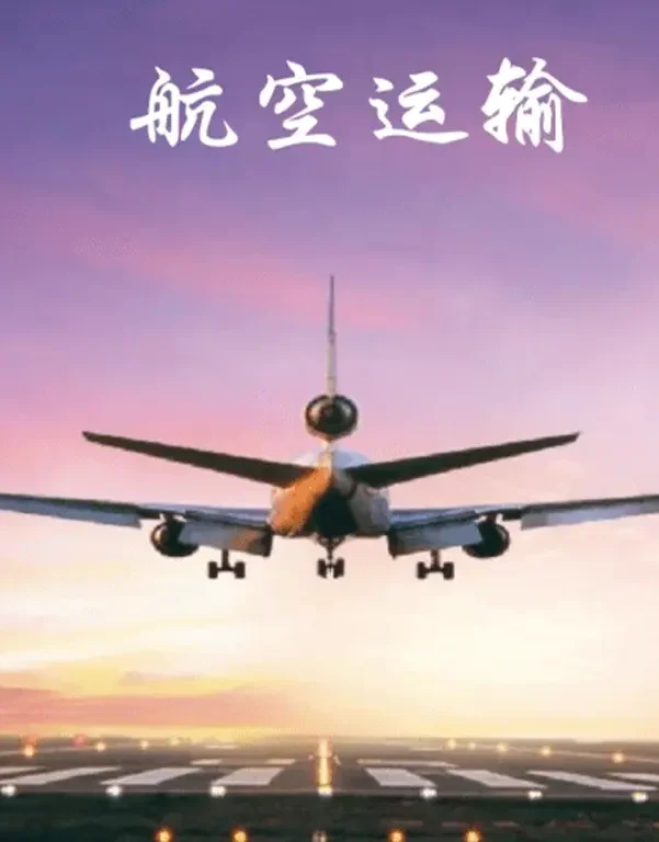 航空运输鉴定报告深度解析:类目细化、案例说明与鉴定标准