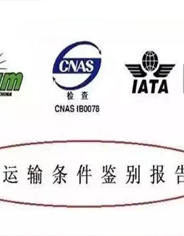 中国空运出口鉴定报告教程