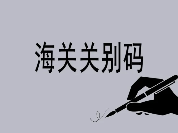 海关关别码全景解析:中国外贸的“神经节点”地图