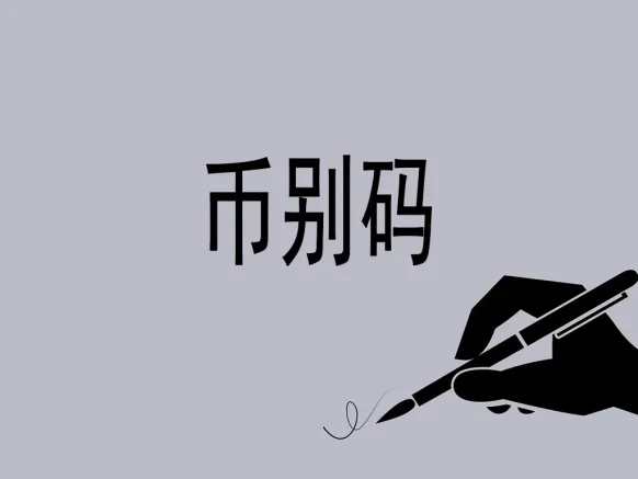 海关币别码全景解析：全球贸易的金融“DNA编码”