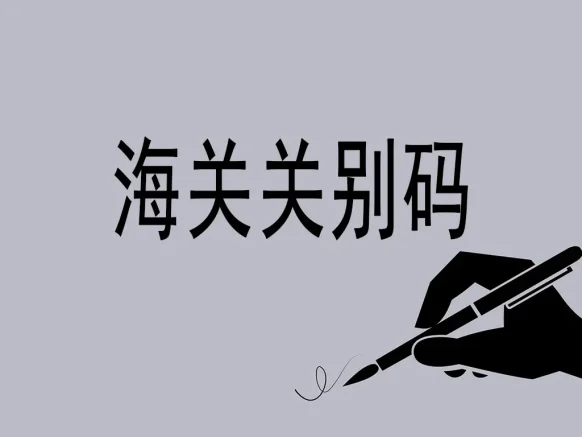 海关关别码全景解析：中国外贸的“神经节点”地图