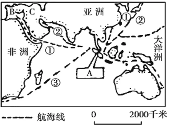 非洲/南美航线核心术语与风险指南