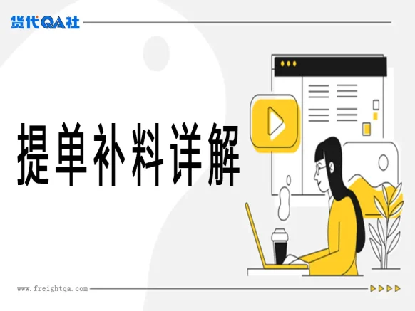 提单补料（SI）全维度作战手册：从细胞级拆解到灾难救援