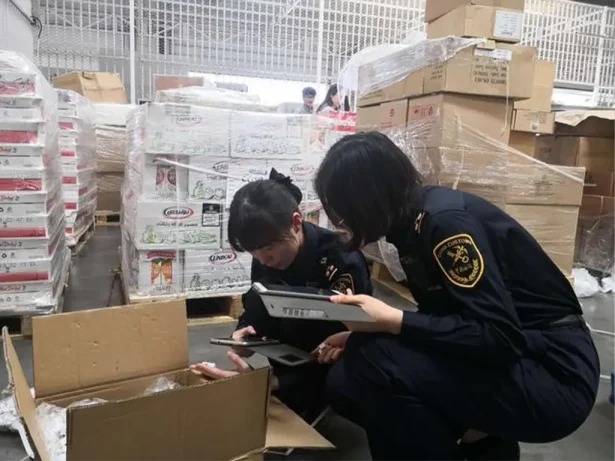国际空运代理人货物查验全面教程:2025年新规与实操指南