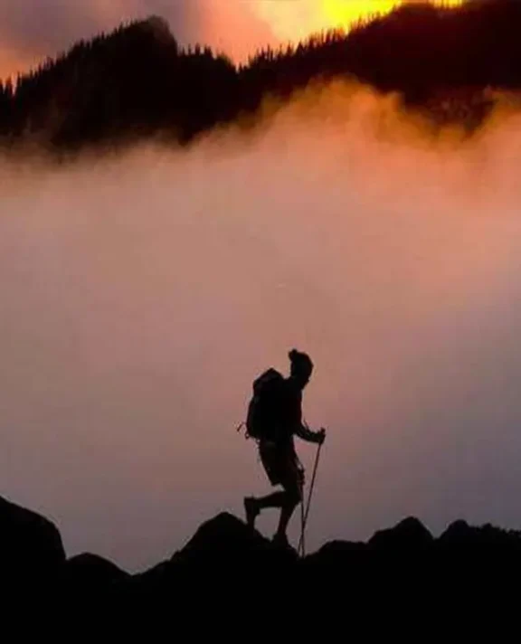 一枚国际货代菜鸟的进阶之路