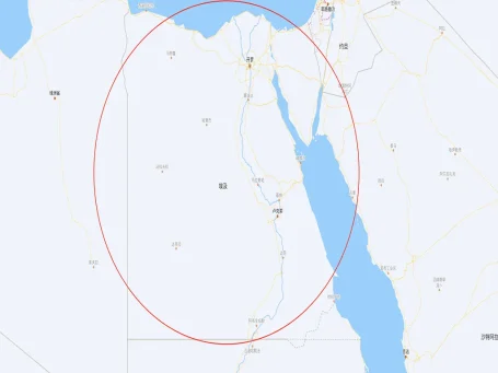 如何在埃及物流圈子里挖到真金白银