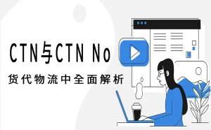 货代物流中的 CTN 与 CTN No：从包装箱到非洲清关的全面解析