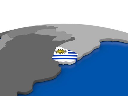 乌拉圭市场深度攻略：高效清关与货款风险防控指南