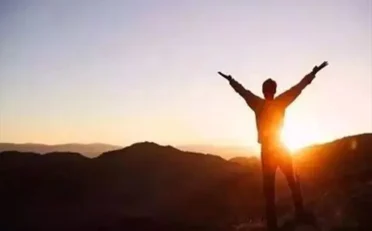 如何成为真正出色的货运代理人：从入门到精通的实战手册