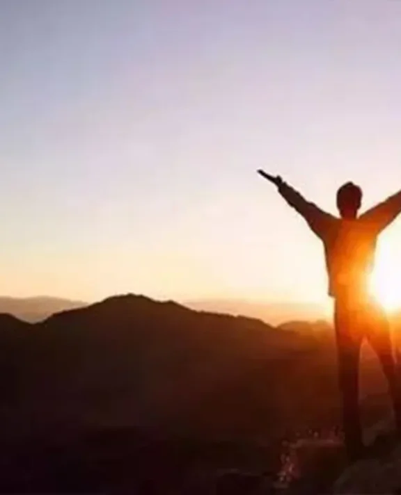 如何成为真正出色的货运代理人:从入门到精通的实战手册