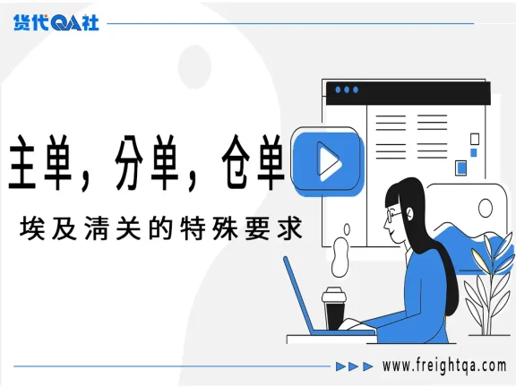 空运主单、分单、仓单详解与埃及清关指南