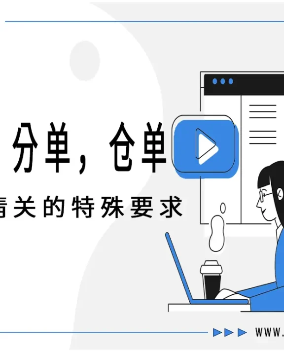空运主单、分单、仓单详解与埃及清关指南