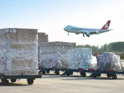 国际空运提货全指南：从到港通知到破损索赔的完整流程